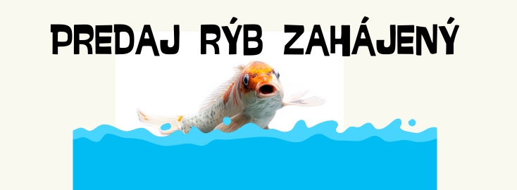 Koi import 2025